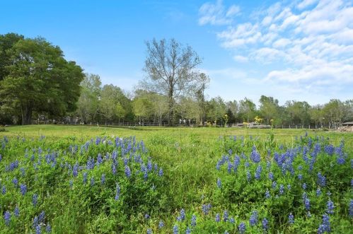 20836 Fm 359 Rd, Hempstead TX 77445-8214 exterior