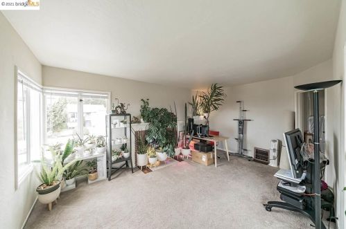 814 Solano, Berkeley CA 94706-1738 exterior