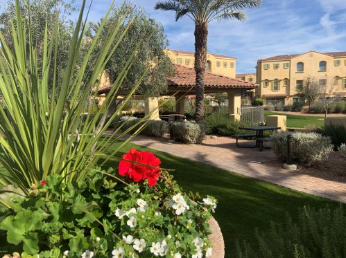 7084 Ivanhoe St, Chandler AZ 85226-0804 exterior