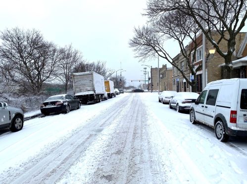 4029 Harrison St, Chicago IL 60607-3105 exterior