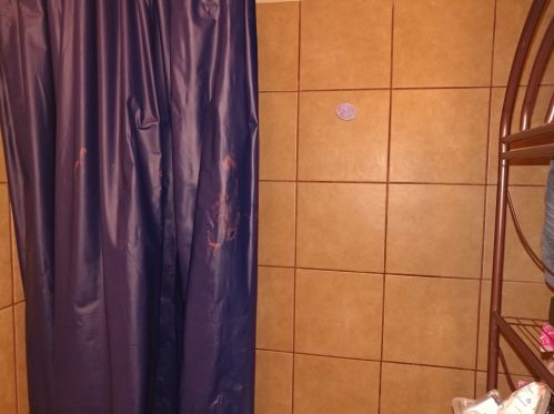 4801 Ada St, Chicago IL 60609-5919 exterior