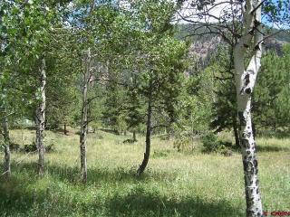 23 River Run Dr, Antonito, CO 81120-9070