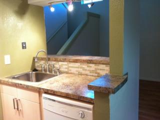 1706 Cinnamon Path, Austin TX  78704-4873 exterior