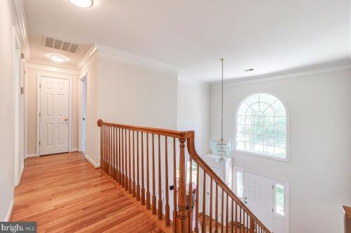 14408 Big Bear Ct, Silver Spring MD 20906-2463 exterior