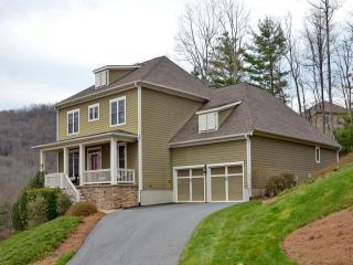 5 Sugarland Ridge Rd, Fairview, NC 28730-5505