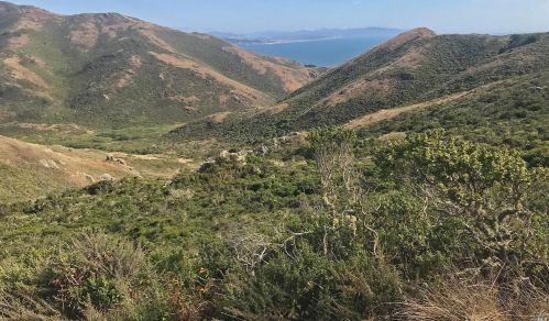 263 Cardinal Rd, Mill Valley CA 94941-3617 exterior