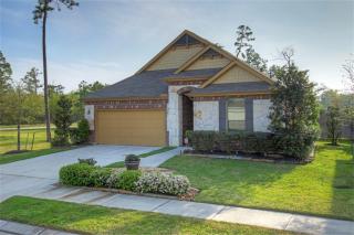 29607 Benson Springs Ln, Spring TX  77386-3591 exterior