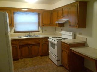 1117 127th St, Chicago IL  60827-6524 exterior