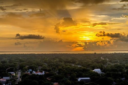 3301 Bayshore Blvd, Tampa FL  33629-8875 exterior