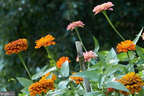 1840 California St, Washington DC 20009-1822 exterior