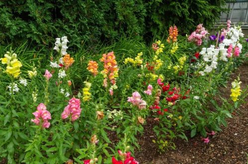 31 Bowery St, Middletown RI 02840-3560 exterior