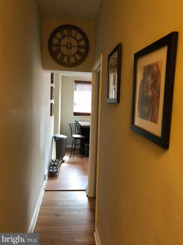 113 Walnut Ave, Ardmore PA 19003-2104 exterior