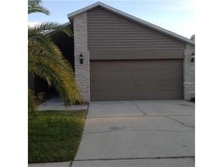 13418 Silvercreek Dr, Riverview, FL 33579-7146