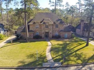 24010 Creekview Dr, Spring TX  77389-3710 exterior