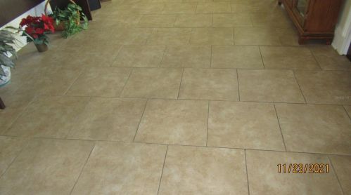 3109 Grace St, Tampa FL 33607-5112 exterior