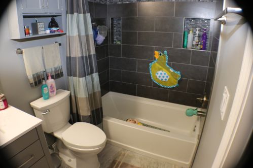 487 Windham Cv Dr, Bull Valley IL 60014-2737 exterior