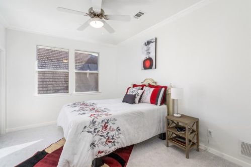 4821 Cypress Pt Ct, Frisco TX exterior