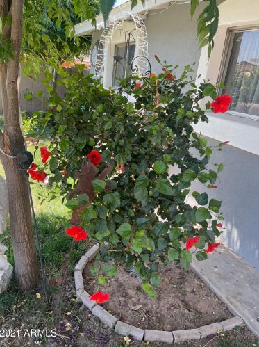 2628 47 Dr, Phoenix AZ 85031-2004 exterior