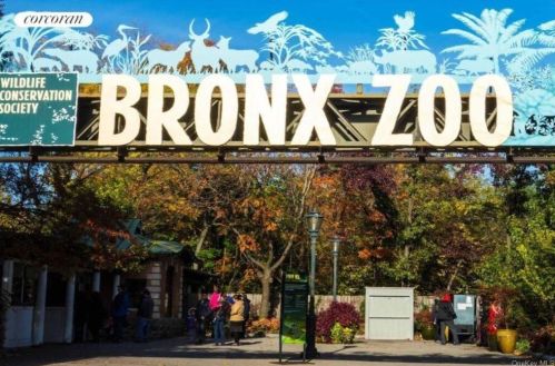 330 198 St, Bronx NY 10458-3156 exterior