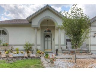 9740 Fox Chapel Rd, Tampa FL  33647-1825 exterior