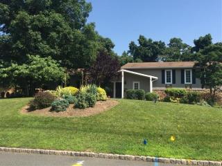 38 Tree Top Dr, Springfield, NJ 07081-3731