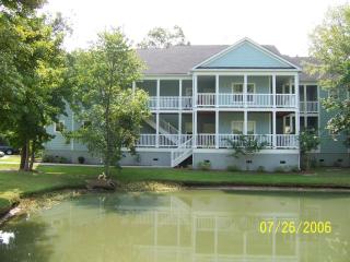 2329 Tall Sail Dr, Charleston SC  29414-6560 exterior