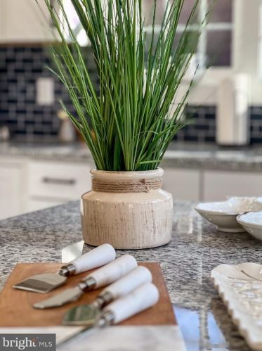 121 Birchside Cir, Locust Grove VA 22508-5440 exterior