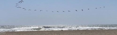 4501 Channel Islands Blvd, Oxnard CA  93035-3910 exterior