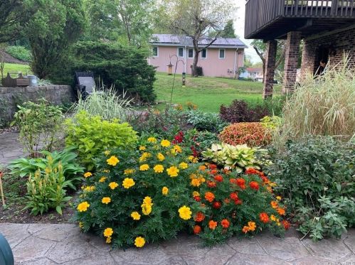 98 Hickory Rd, Briarcliff NY 10510-1221 exterior