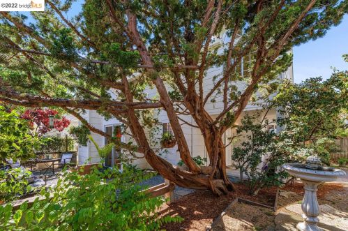 1149 Hearst Ave, Berkeley CA 94709-2129 exterior