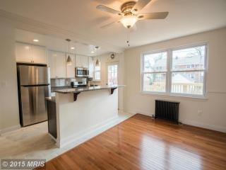 245 Linden Ave, Baltimore MD  21286-5427 exterior