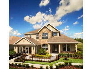 19106 Climbing Aster Dr, Tampa, FL 33647-3543