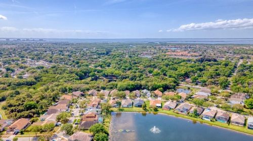 10041 Oasis Palm Dr, Tampa FL 33615-2779 exterior