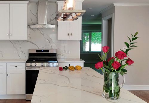 3003 Neva Ave, Chicago IL  60634-4721 exterior