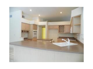 17803 Hickory Moss Pl, Tampa FL  33647-2285 exterior