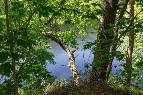 36 Charles St, Concord NH  03303-1528 exterior