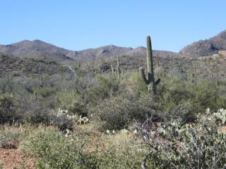 4411 Lightning Rdg Trl, Tucson AZ  exterior
