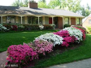 4300 39th St, Arlington, VA 22207-4606