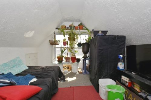 11 Chadwick St, Worcester MA 01605-1236 exterior