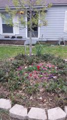 8918 Daytonia Ave, Dallas TX  75218-4112 exterior