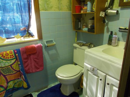 3719 Compton, Saint Louis MO 63118-3621 exterior