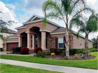 10001 Hazelnut Ct, Tampa FL  33647-3711 exterior