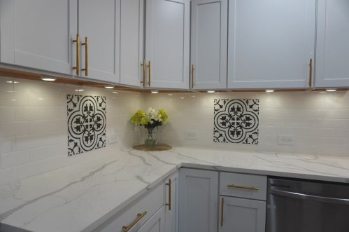 2837 Farrell St, Chicago IL 60608-5707 exterior