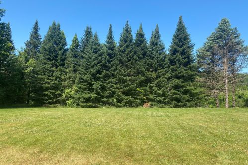 3731 Baseline Rd, Gobles MI 49055-8813 exterior