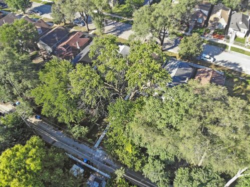 10219 Bensley Ave, Chicago IL 60617-6128 exterior