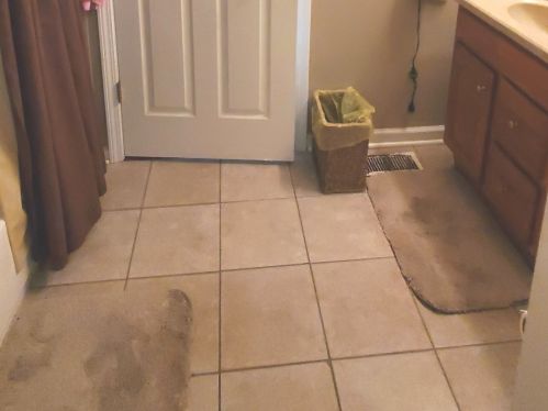 1218 Maywood Dr, Broadview IL 60153-1879 exterior