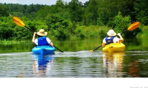 374 Trailsend Dr, Torrington CT 06790-2246 exterior