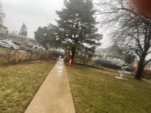 1658 Waseca Pl, Chicago, IL 60643-4318