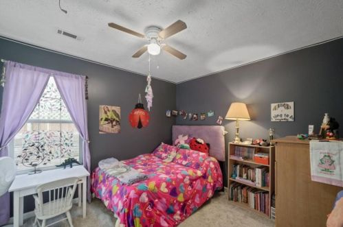 6360 Gold Dust Trl, Gainesville GA 30506-6500 exterior