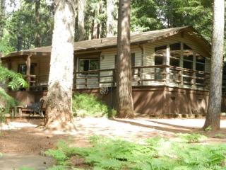 14037 Pineland Cir, Nimshew, CA 95954-9438